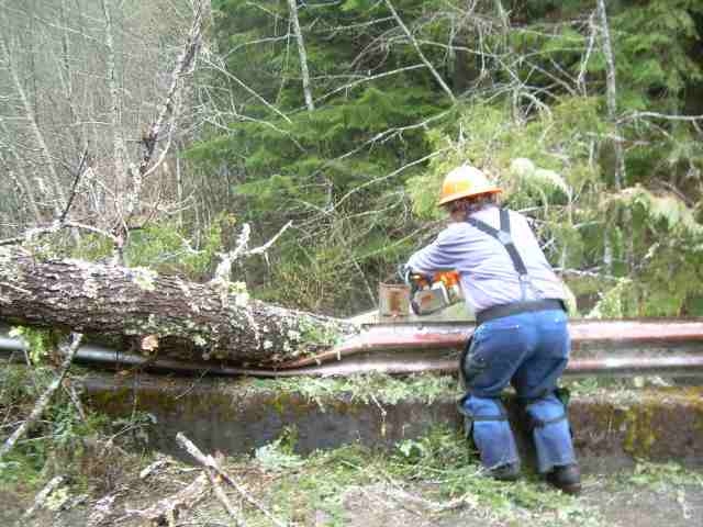 The Twinkle saw in use