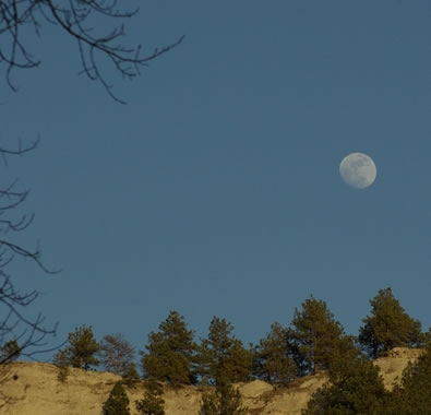 Moon rise on the Pine Ridge