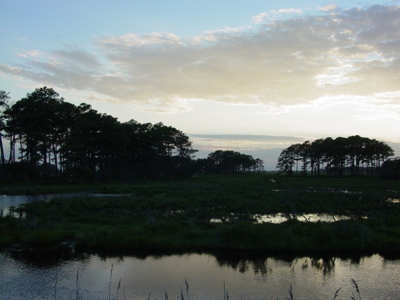 Assateaque National Park, Virginia