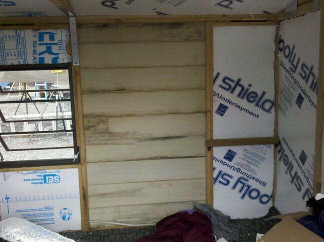 insulate 1