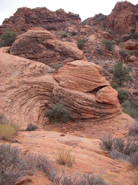 Snow Canyon - Thanksgiving Weekend 2009