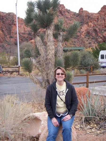 Snow Canyon - Thanksgiving Weekend 2009