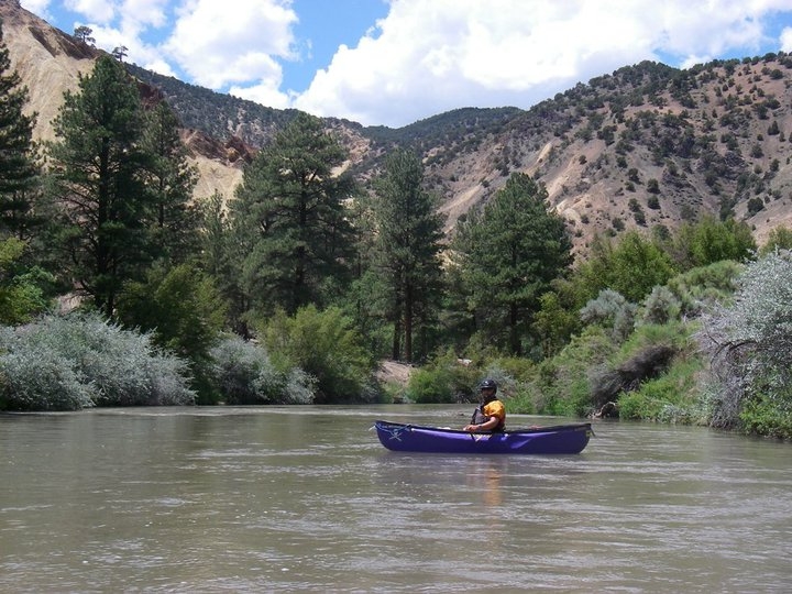 Sevier 5