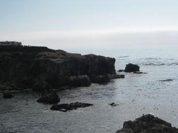 Scenic view - Ocean Cove