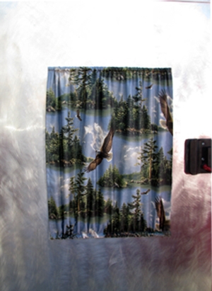 Door curtain