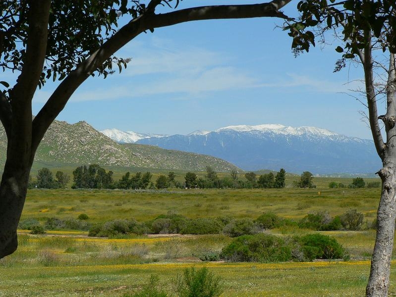 Lake Perris in Springtime