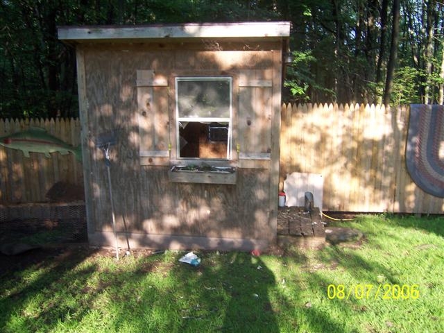 Bear broke into our chicken coop.