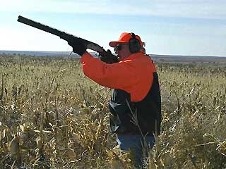 0 61 cheney gun