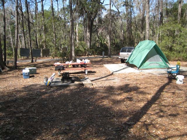 The backyard of my campsite