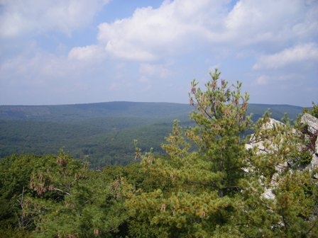 Pole Steeple View