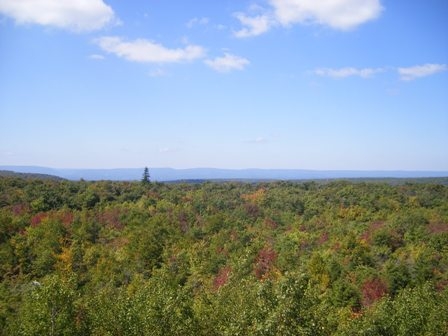 Fire Tower View
