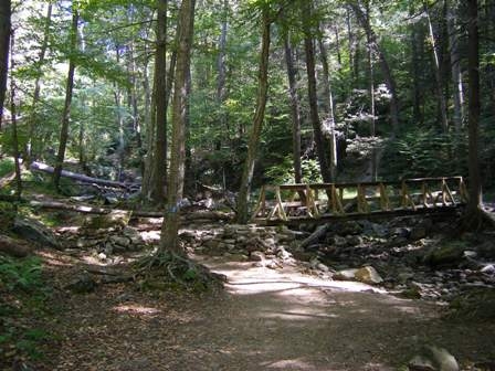 Along the Blue Dot Trail 1