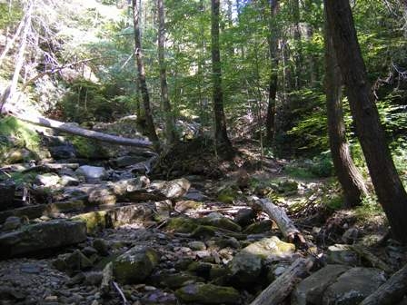 Along the Blue Dot Trail 2