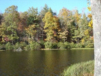Lake Winfield Scott - North GA - In the "Moon When The Leaves Change Color".