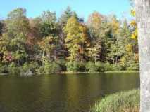 Lake Winfield Scott - North GA - In the "Moon When The Leaves Change Color".