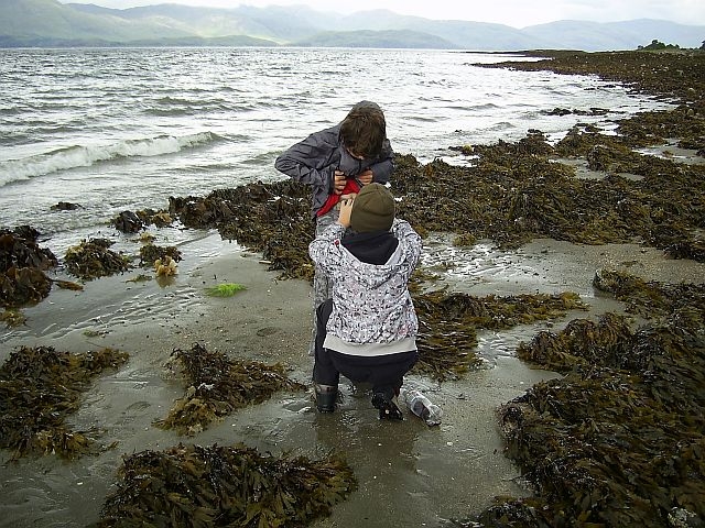 On the shore