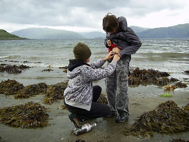 On the shore