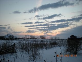 Sunset in back yard