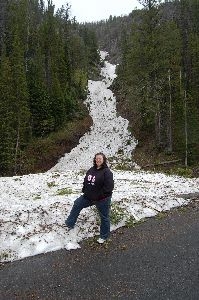 yellowstone 5