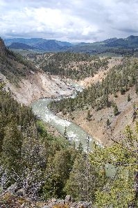 yellowstone 8