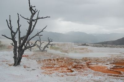 yellowstone 9