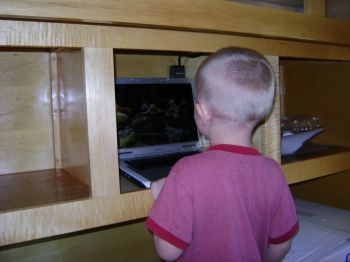 Bo likes the shelf