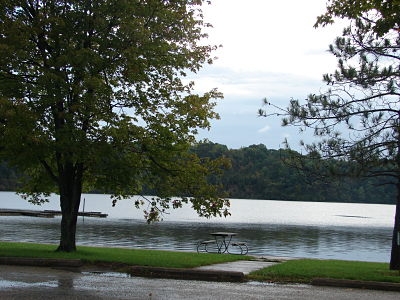 Another picture of Hueston Woods