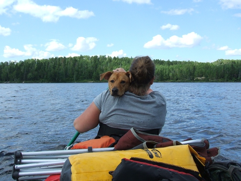 BWCA 2011