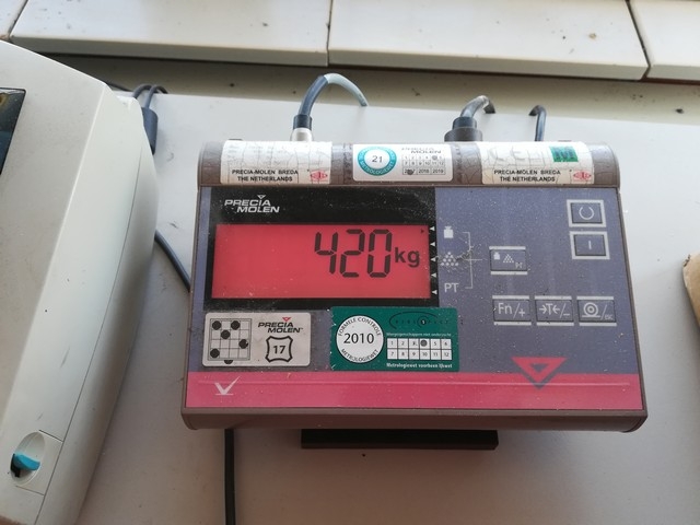 scale readout