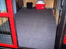 New Carpet '07