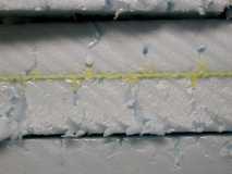 Closeup of glue penetration 1