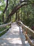 The Boardwalk at Blue Springs