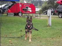 CAMPGROUND SECURITY