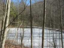 Frozen Mountain Pond Cherokee National Forest