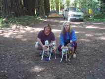 IRG - Kelly, Joanne and pups