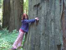 Redwoods - Brandie, the tree hugger