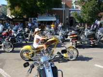 sturgis