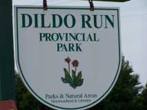 Sign at Dildo Run PP