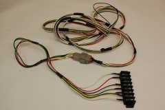 Galley Hatch wiring harness - DSC 5156-1