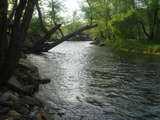 River down from spring, AR