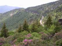 Blue Ridge Parkway from Potato Knob Fields trail