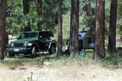 Buckhorn in Angeles Crest, a favorite spot of ours to camp